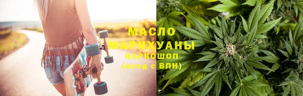 гидра Вяземский