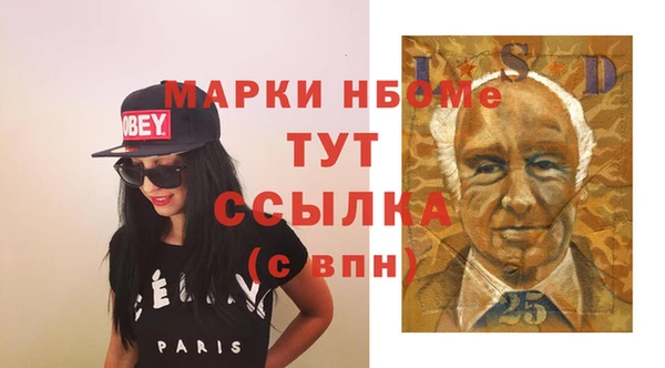 гидра Вяземский