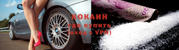 индика Вязники