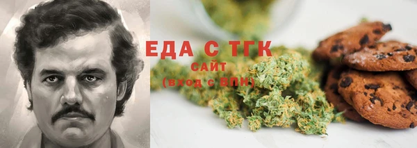 индика Вязники