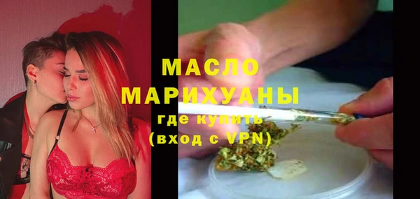 гидра Вяземский