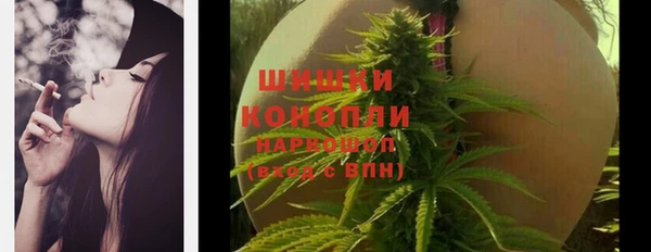 индика Вязники