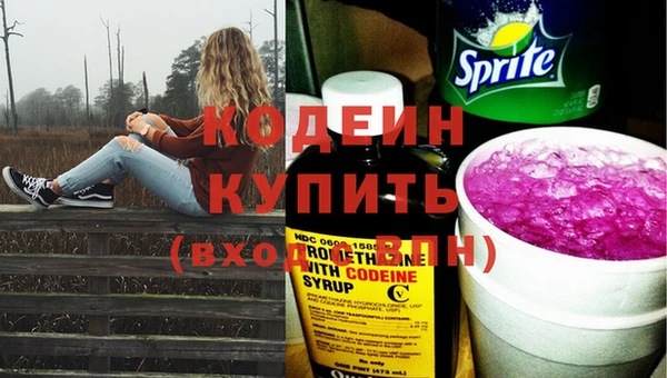 гидра Вяземский