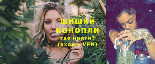 индика Вязники