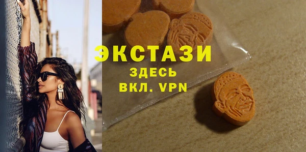 гидра Вяземский