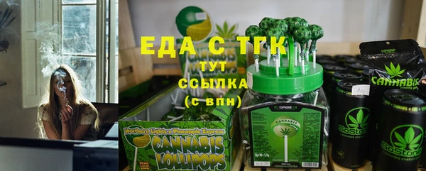 индика Вязники