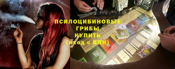 индика Вязники