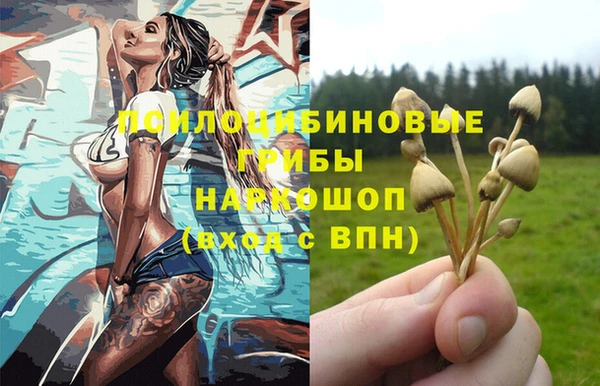 индика Вязники