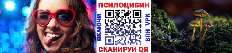 Псилоцибиновые грибы Magic Shrooms  Купить  Кострома 