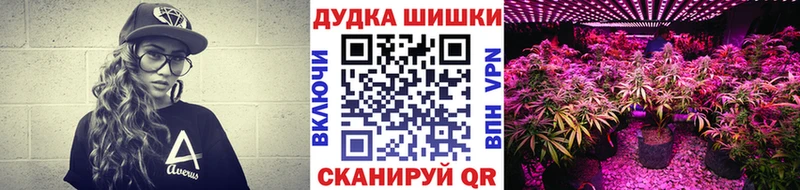 Каннабис сатива  Купить закладки  Кострома 